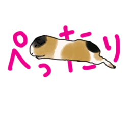 guinea pig Fuku sticker #11860154