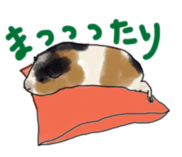 guinea pig Fuku sticker #11860156