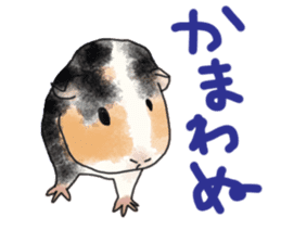 guinea pig Fuku sticker #11860157