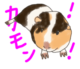 guinea pig Fuku sticker #11860161