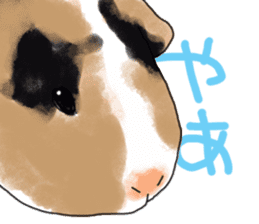 guinea pig Fuku sticker #11860165