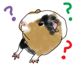 guinea pig Fuku sticker #11860166