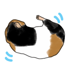 guinea pig Fuku sticker #11860167