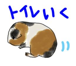 guinea pig Fuku sticker #11860170