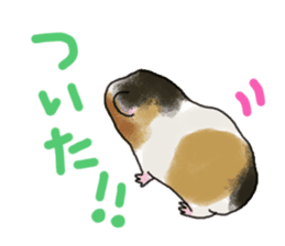 guinea pig Fuku sticker #11860173