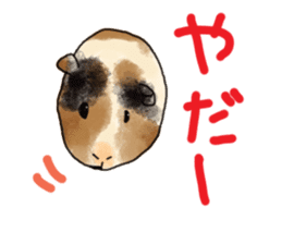 guinea pig Fuku sticker #11860174