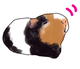 guinea pig Fuku sticker #11860175
