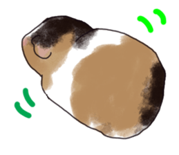 guinea pig Fuku sticker #11860176