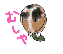 guinea pig Fuku sticker #11860180