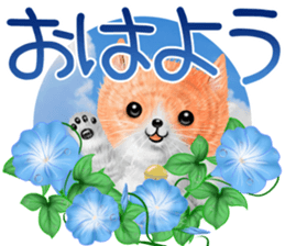 nekokawasan summer sticker #11861135