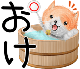 nekokawasan summer sticker #11861137