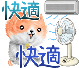 nekokawasan summer sticker #11861140