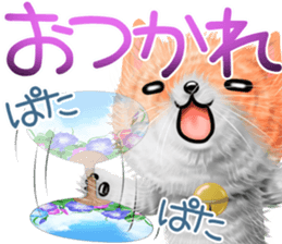 nekokawasan summer sticker #11861148