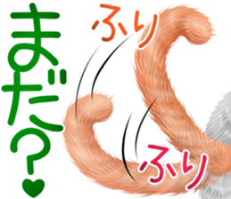 nekokawasan summer sticker #11861151