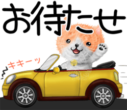 nekokawasan summer sticker #11861152