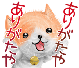 nekokawasan summer sticker #11861156