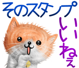 nekokawasan summer sticker #11861158