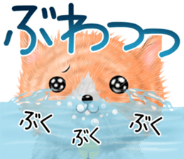 nekokawasan summer sticker #11861164