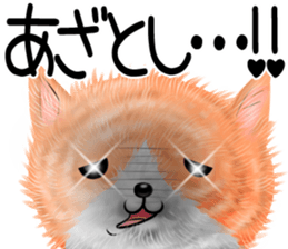 nekokawasan summer sticker #11861165