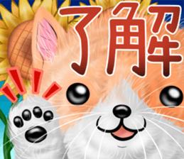 nekokawasan summer sticker #11861168