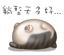 Lazy Q-cats sticker #11861656