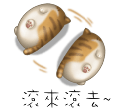 Lazy Q-cats sticker #11861657