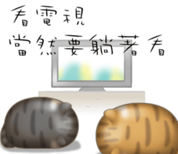 Lazy Q-cats sticker #11861681