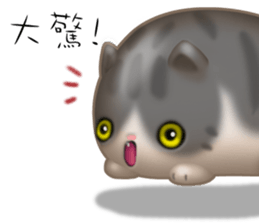 Lazy Q-cats sticker #11861683