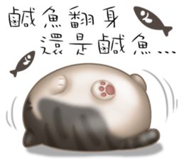 Lazy Q-cats sticker #11861688