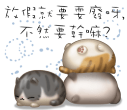 Lazy Q-cats sticker #11861693