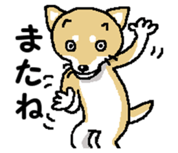 Mr.Shiba 2 sticker #11863374