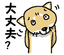 Mr.Shiba 2 sticker #11863382