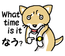 Mr.Shiba 2 sticker #11863385