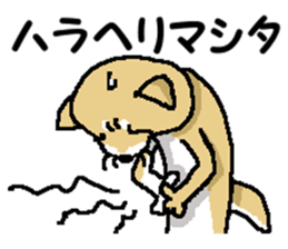 Mr.Shiba 2 sticker #11863390