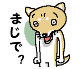 Mr.Shiba 2 sticker #11863391