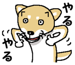 Mr.Shiba 2 sticker #11863393