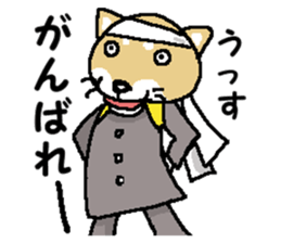 Mr.Shiba 2 sticker #11863395