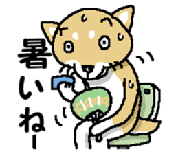 Mr.Shiba 2 sticker #11863409