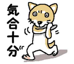 Mr.Shiba 2 sticker #11863410