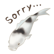 colored carp [English] sticker #11864561