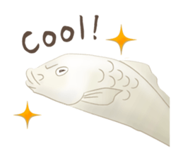 colored carp [English] sticker #11864565