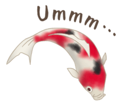 colored carp [English] sticker #11864567