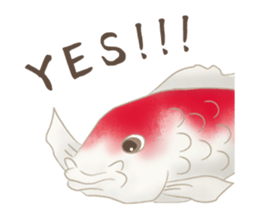 colored carp [English] sticker #11864568