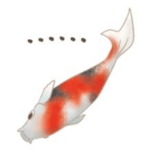 colored carp [English] sticker #11864575