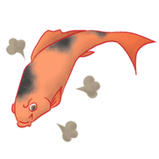 colored carp [English] sticker #11864583