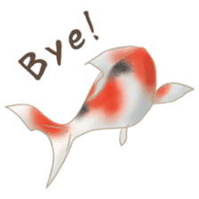 colored carp [English] sticker #11864595