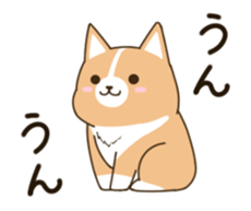 consideration Welsh Corgi Animated sticker #11864962