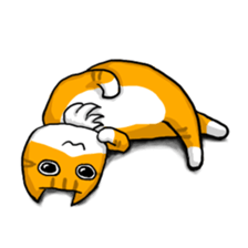 Jung and Cat sticker #11865594