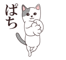 Moving!Strange pose cat sticker #11866590