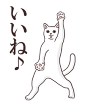 Moving!Strange pose cat sticker #11866592